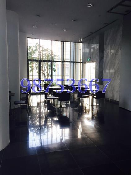 SHENTON WAY (D1), Condominium #73463592